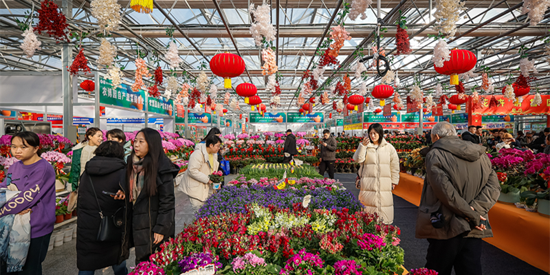 第十五届吉林（长春）冬季农业展览会暨吉味年菜甄选运动在长春农博园开幕